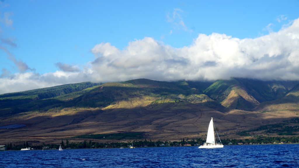 Maui Sunset Sailing