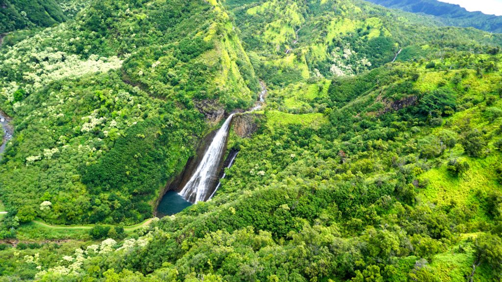 Enjoying the waterfall views Kauai Helicopter Tour