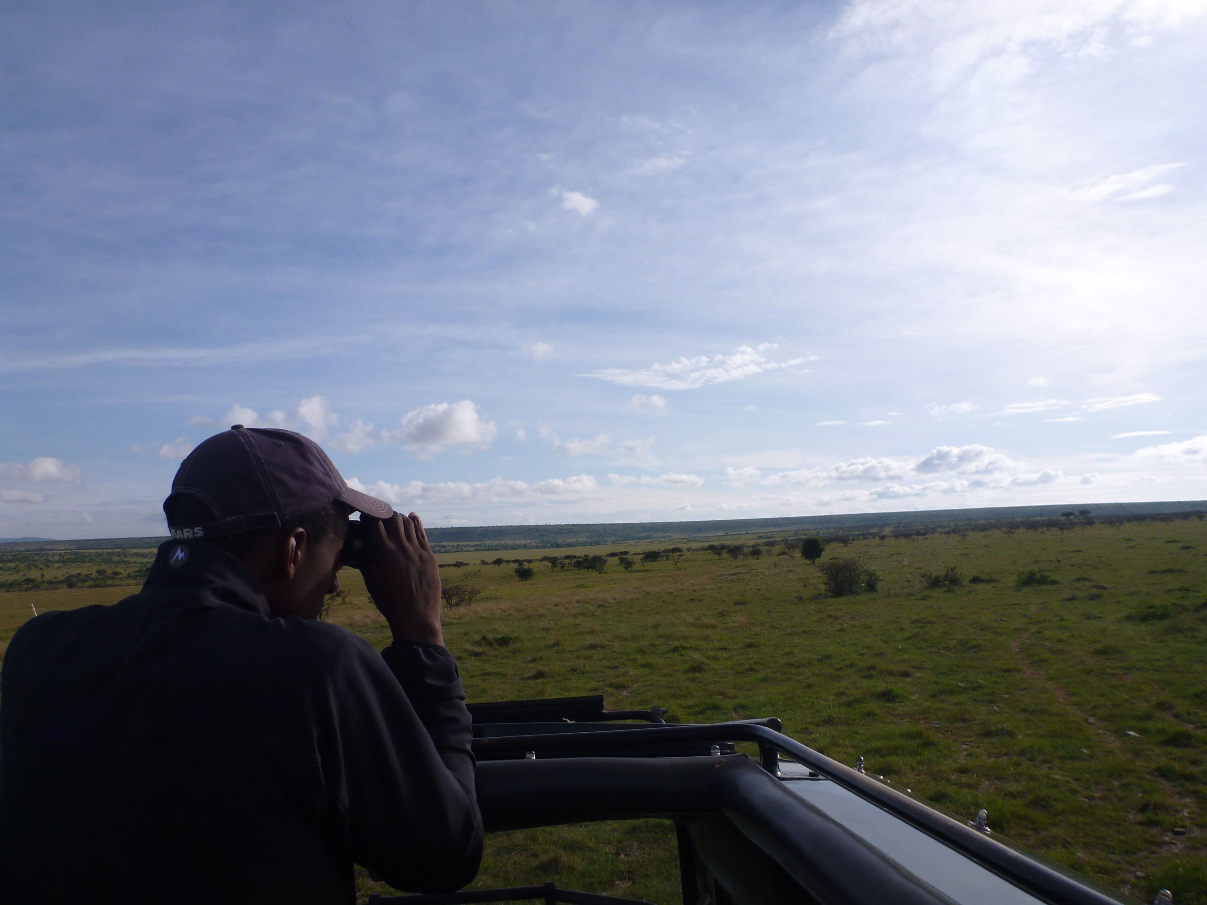 Searching for wildlife on safari