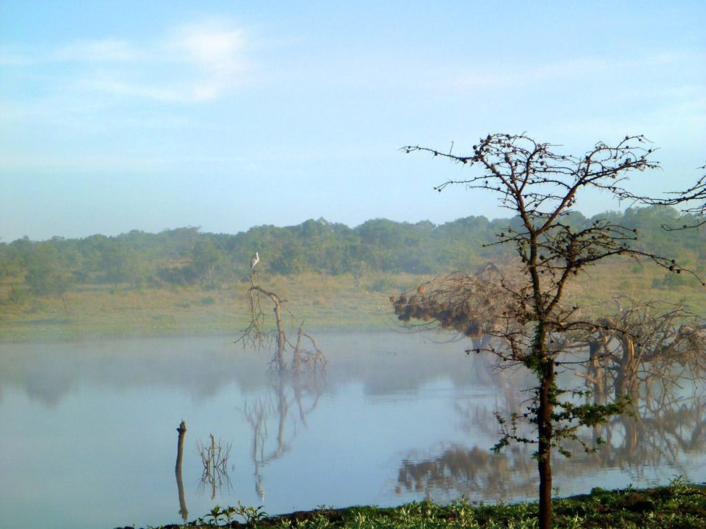 Dam at Kicheche Laikipia