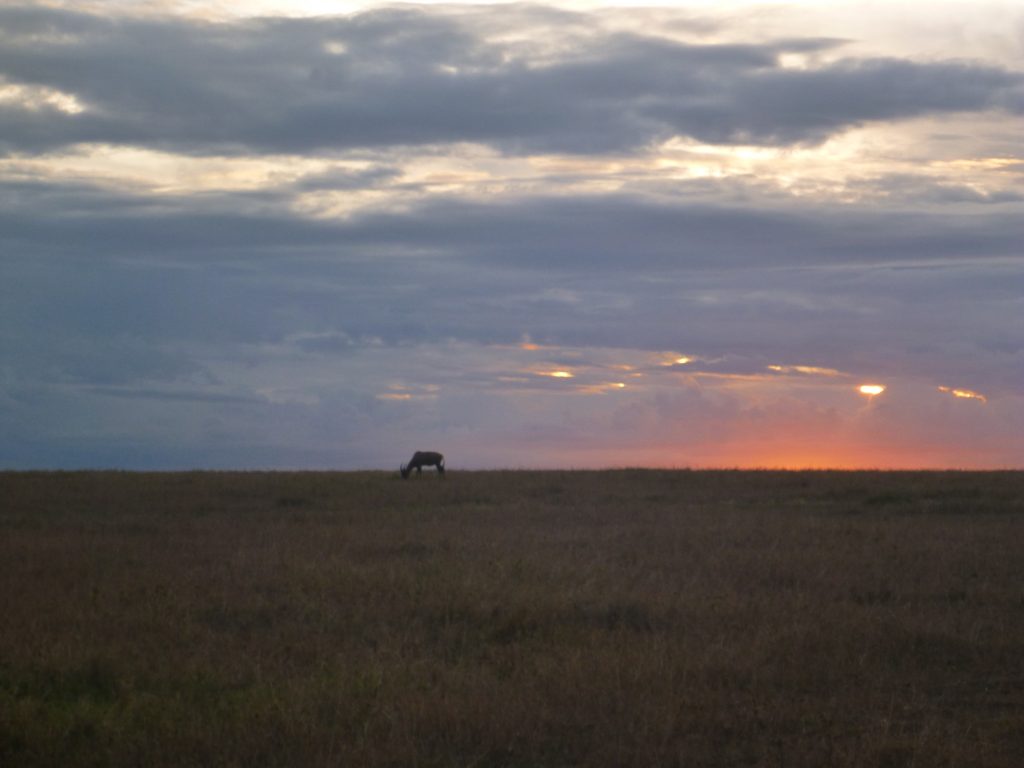 Sundowners After A Great Safari